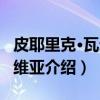 皮耶里克·瓦尔迪维亚（关于皮耶里克·瓦尔迪维亚介绍）