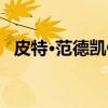 皮特·范德凯伊（关于皮特·范德凯伊介绍）