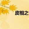 皮相之士（关于皮相之士介绍）