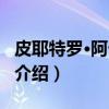 皮耶特罗·阿卡尔迪（关于皮耶特罗·阿卡尔迪介绍）