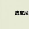 皮皮尼斯（关于皮皮尼斯介绍）