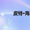 皮特·海恩（关于皮特·海恩介绍）