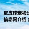 皮皮球宠物分类信息网（关于皮皮球宠物分类信息网介绍）