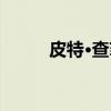 皮特·查菲（关于皮特·查菲介绍）