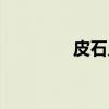 皮石乡（关于皮石乡介绍）