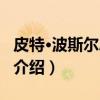 皮特·波斯尔思韦特（关于皮特·波斯尔思韦特介绍）