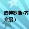 皮特罗斯·齐齐帕斯（关于皮特罗斯·齐齐帕斯介绍）