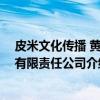 皮米文化传播 黄石有限责任公司（关于皮米文化传播 黄石有限责任公司介绍）