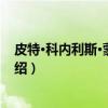 皮特·科内利斯·蒙德里安（关于皮特·科内利斯·蒙德里安介绍）