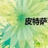 皮特萨罗（关于皮特萨罗介绍）
