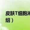 皮肤T细胞淋巴瘤（关于皮肤T细胞淋巴瘤介绍）
