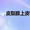 皮脂腺上皮瘤（关于皮脂腺上皮瘤介绍）