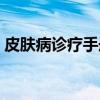 皮肤病诊疗手册（关于皮肤病诊疗手册介绍）