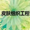 皮肤组织工程学（关于皮肤组织工程学介绍）