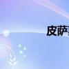 皮萨斯（关于皮萨斯介绍）