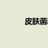 皮肤菌群（关于皮肤菌群介绍）