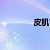 皮肌节（关于皮肌节介绍）
