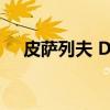 皮萨列夫 D.I.(关于皮萨列夫 D.I.介绍) 皮萨列夫 D.I.(关于皮萨列夫 D.I.介绍)
