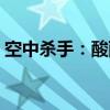 空中杀手：酸雨（关于空中杀手：酸雨介绍）