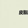 皮脂腺（关于皮脂腺介绍）