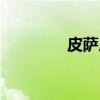 皮萨尼（关于皮萨尼介绍）