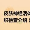 皮肤神经活体组织检查（关于皮肤神经活体组织检查介绍）