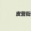 皮营街道（关于皮营街道介绍）