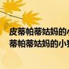 皮蒂帕蒂姑妈的小猪 芭芭拉·麦克林托克经典绘本（关于皮蒂帕蒂姑妈的小猪 芭芭拉·麦克林托克经典绘本介绍）