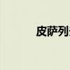 皮萨列夫（关于皮萨列夫介绍）