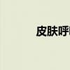 皮肤呼吸（关于皮肤呼吸介绍）