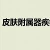 皮肤附属器疾病（关于皮肤附属器疾病介绍）