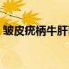 皱皮疣柄牛肝菌（关于皱皮疣柄牛肝菌介绍）