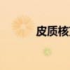 皮质核束（关于皮质核束介绍）