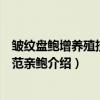 皱纹盘鲍增养殖技术规范亲鲍（关于皱纹盘鲍增养殖技术规范亲鲍介绍）