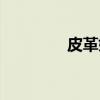 皮革婚（关于皮革婚介绍）