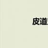 皮道坚（关于皮道坚介绍）