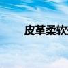 皮革柔软剂(关于皮革柔软剂介绍) 皮革柔软剂(关于皮革柔软剂介绍)