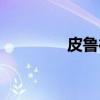 皮鲁德（关于皮鲁德介绍）