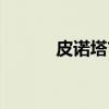 皮诺塔吉（关于皮诺塔吉介绍）
