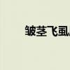 皱茎飞虱属（关于皱茎飞虱属介绍）