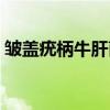 皱盖疣柄牛肝菌（关于皱盖疣柄牛肝菌介绍）