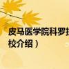 皮马医学院科罗拉多泉分校（关于皮马医学院科罗拉多泉分校介绍）