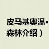皮马基奥温·阿基森林（关于皮马基奥温·阿基森林介绍）