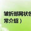 皱折部网状色素异常（关于皱折部网状色素异常介绍）