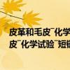 皮革和毛皮―化学试验―短链氯化石蜡的测定（关于皮革和毛皮―化学试验―短链氯化石蜡的测定介绍）