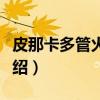 皮那卡多管火箭炮（关于皮那卡多管火箭炮介绍）