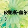 皮驰斯·盖尔多夫（关于皮驰斯·盖尔多夫介绍）