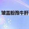 皱盖粉孢牛肝菌（关于皱盖粉孢牛肝菌介绍）