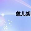 盆儿胡同（关于盆儿胡同介绍）
