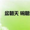 盆朝天 碗朝地（关于盆朝天 碗朝地介绍）